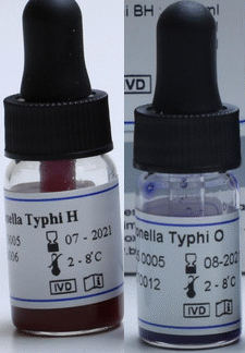 Salmonella O+H Antigen